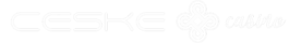 Ceske Kasino