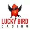 Lucky bird casino